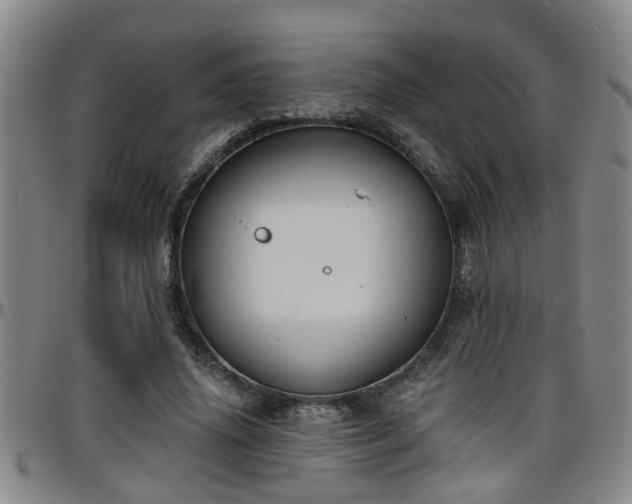 X0000096400636200801311351