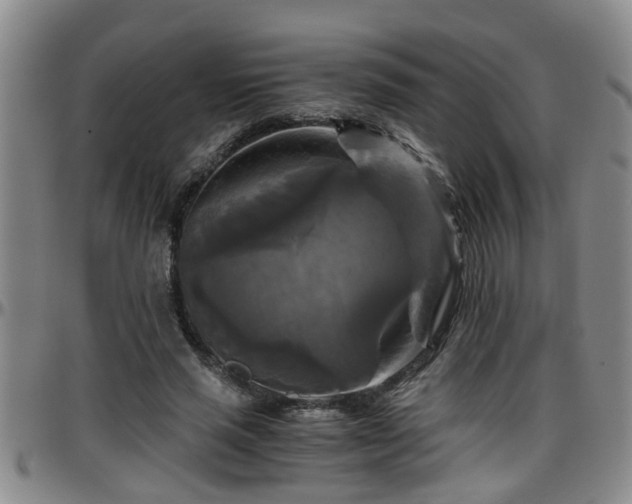 X0000096400637200801311351