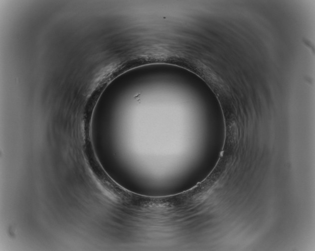 X0000096400638200801311351