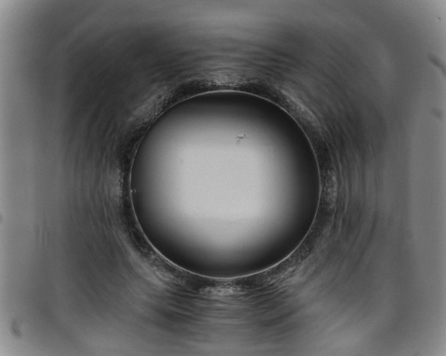 X0000096400639200801311351