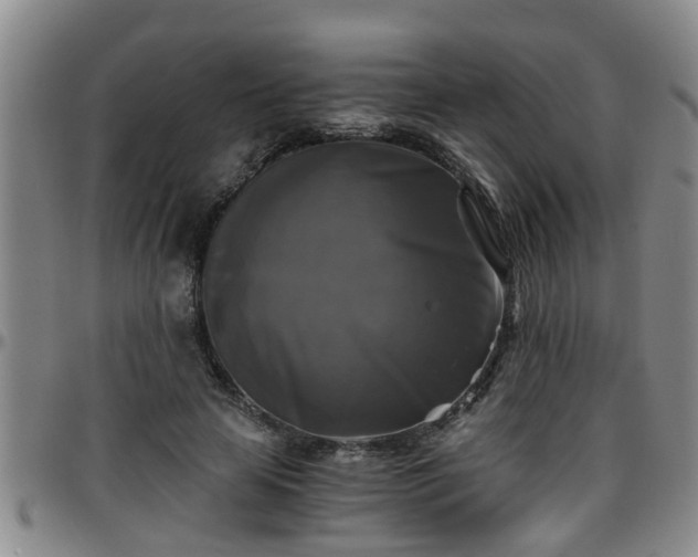 X0000096400641200801311351