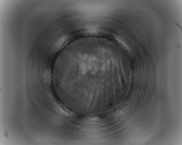 X0000096400642200801311351