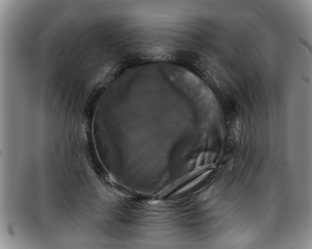 X0000096400643200801311351