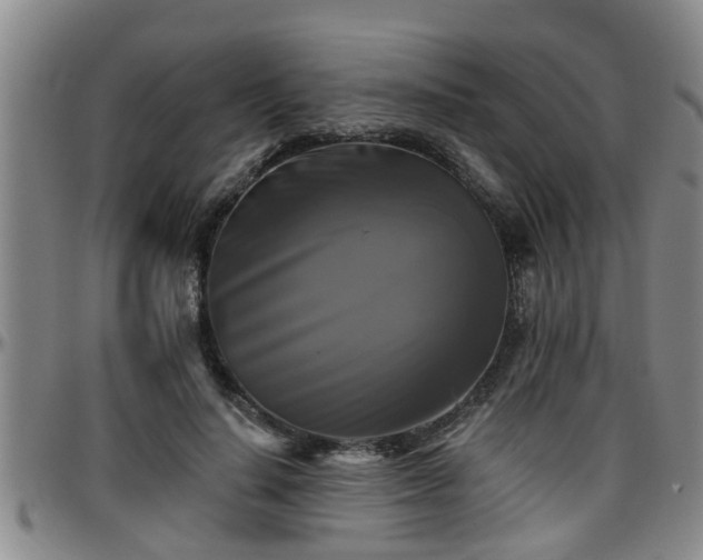 X0000096400644200801311351