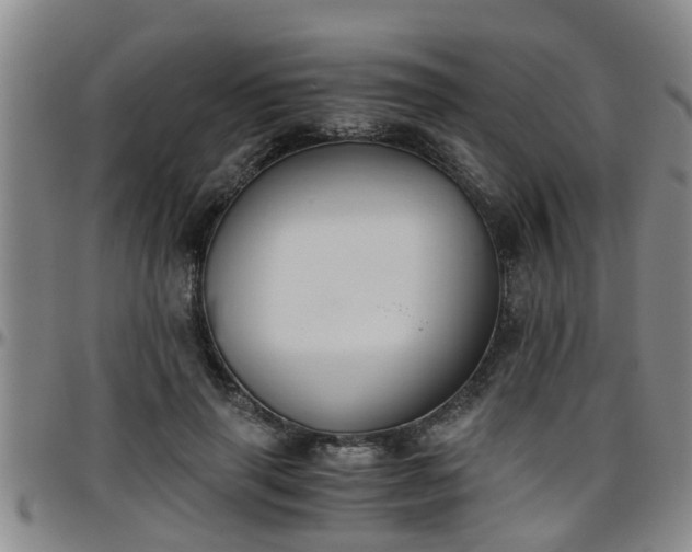 X0000096400645200801311351