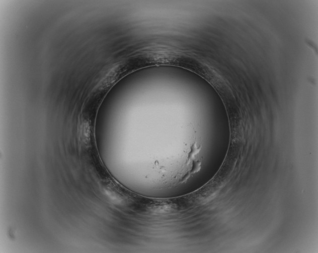 X0000096400646200801311351