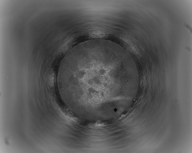 X0000096400647200801311351