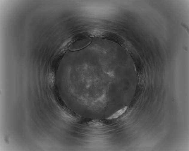 X0000096400648200801311351