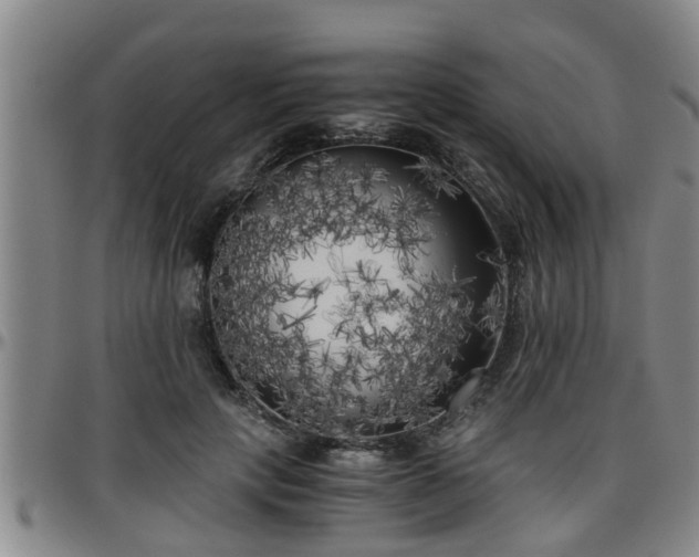X0000096400649200801311351