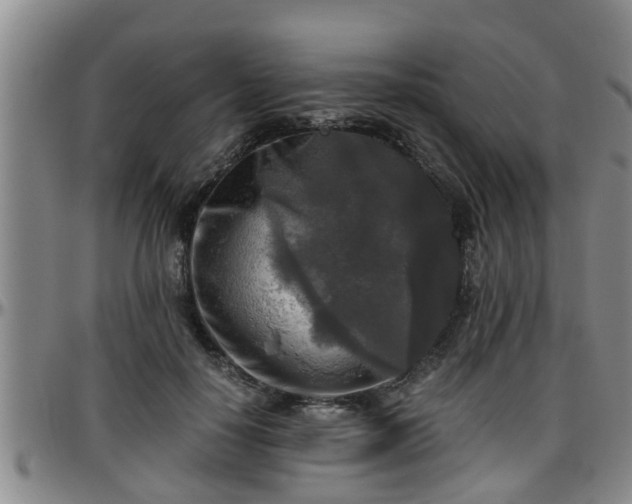 X0000096400650200801311351