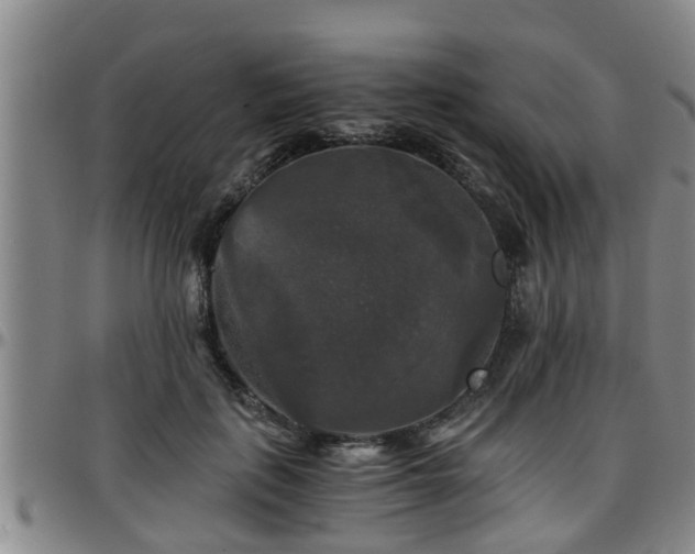 X0000096400651200801311351