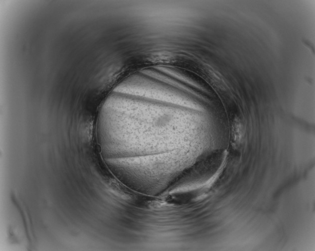 X0000096400652200801311351