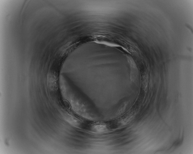 X0000096400653200801311351