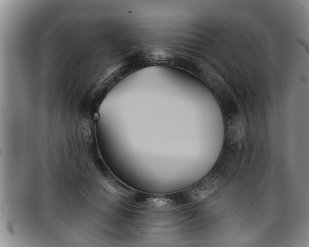 X0000096400654200801311351