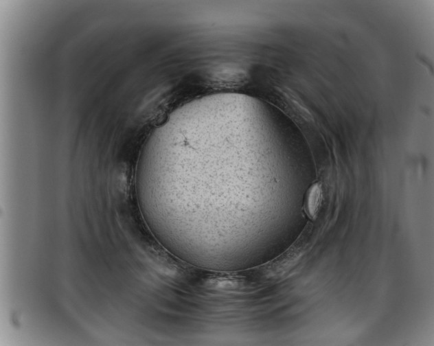 X0000096400655200801311351