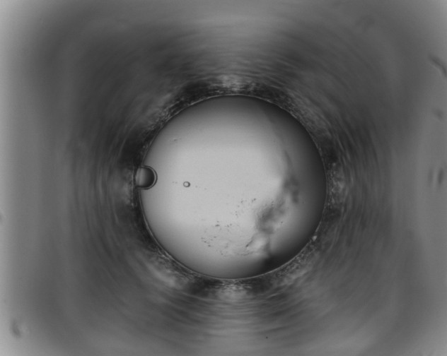 X0000096400656200801311352