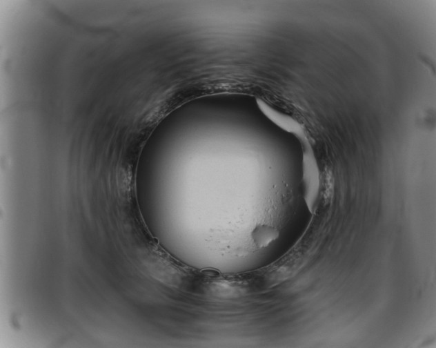 X0000096400657200801311352