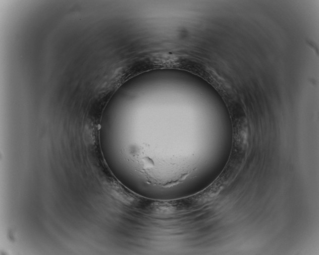 X0000096400658200801311352