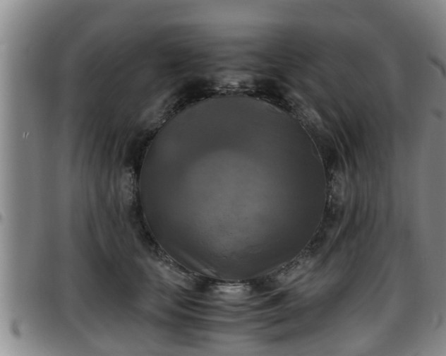 X0000096400659200801311352