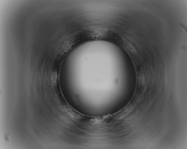 X0000096400660200801311352