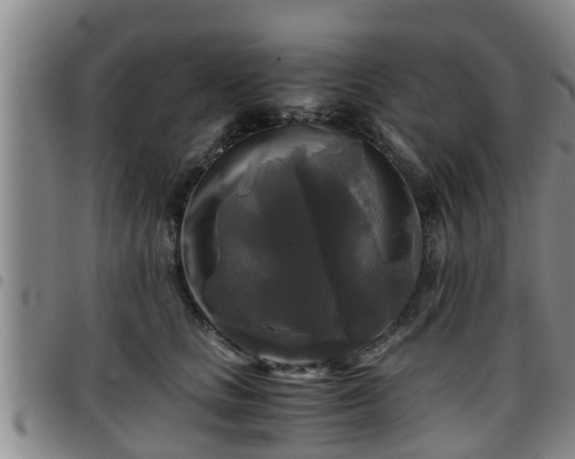 X0000096400661200801311352