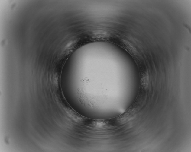 X0000096400662200801311352