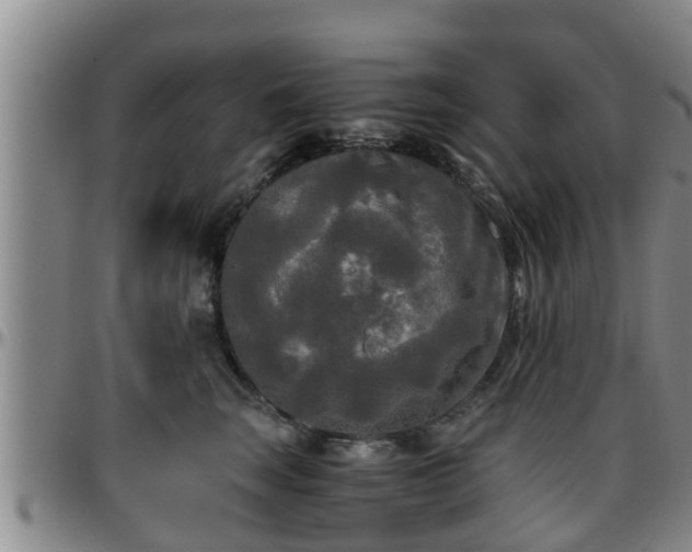 X0000096400663200801311352