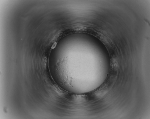 X0000096400664200801311352