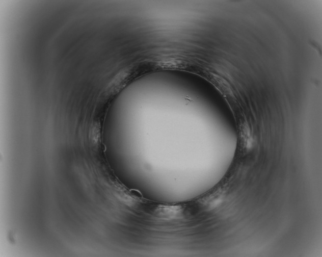 X0000096400665200801311352