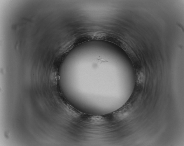 X0000096400666200801311352