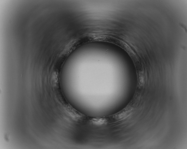 X0000096400667200801311352