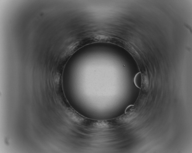 X0000096400668200801311352