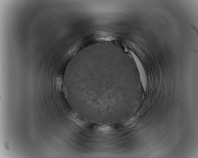 X0000096400669200801311352