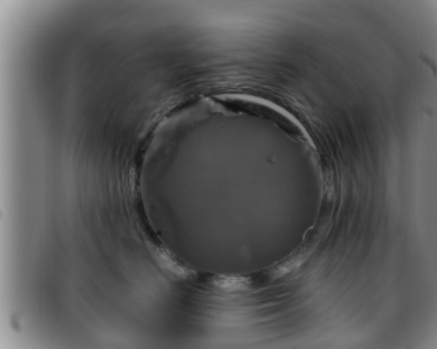 X0000096400670200801311352