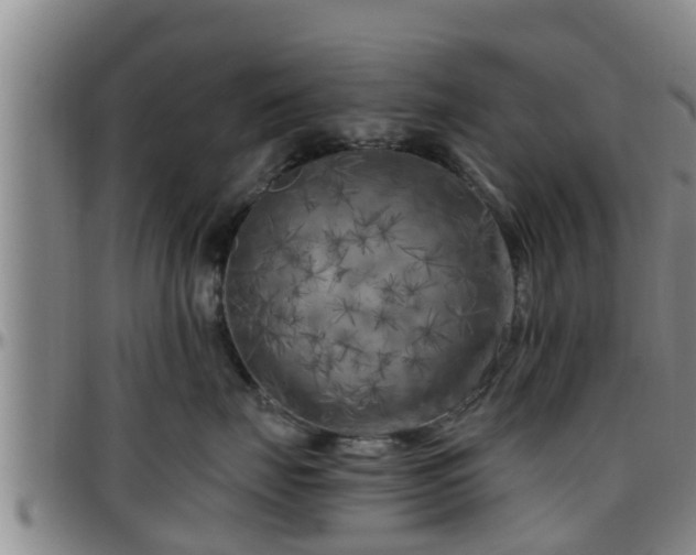 X0000096400671200801311352