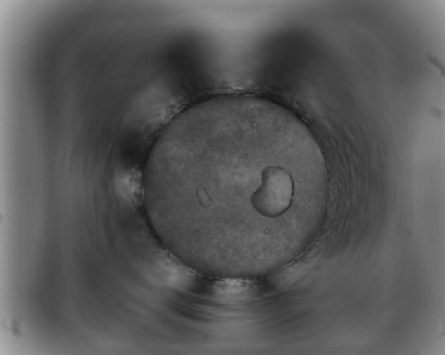 X0000096400672200801311352