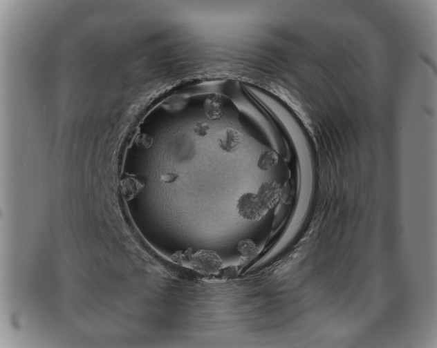 X0000096400673200801311351