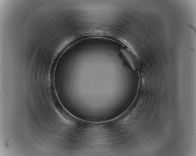 X0000096400674200801311351