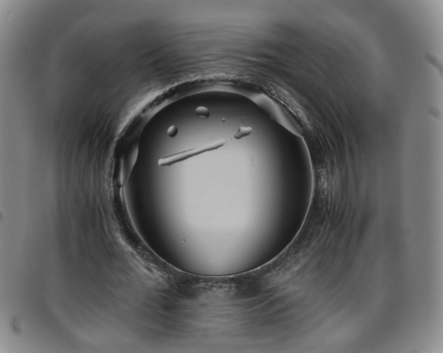 X0000096400676200801311351