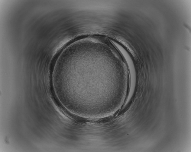 X0000096400677200801311351