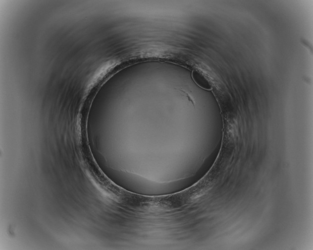 X0000096400678200801311351