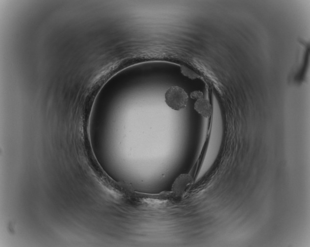 X0000096400681200801311351