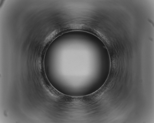 X0000096400682200801311351