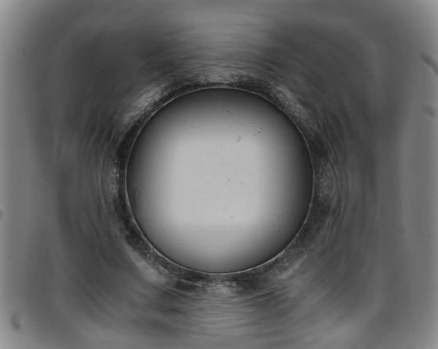 X0000096400683200801311351