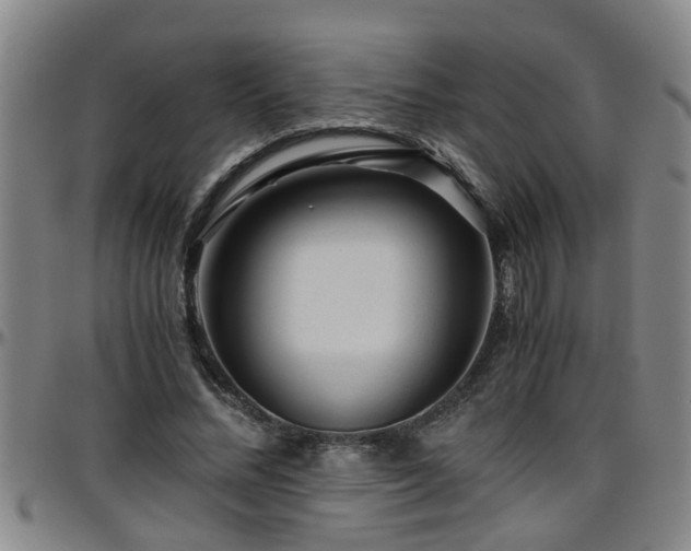 X0000096400684200801311351