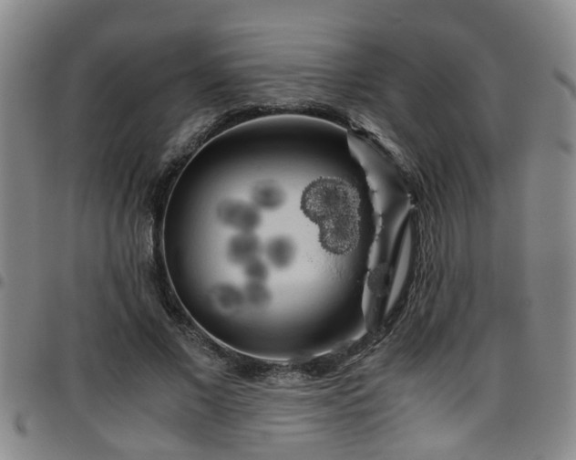 X0000096400685200801311351