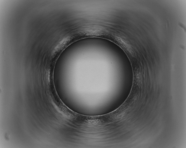 X0000096400686200801311351