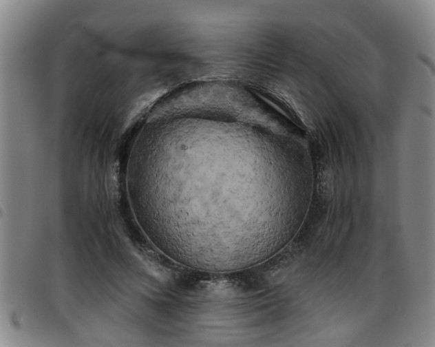 X0000096400688200801311351