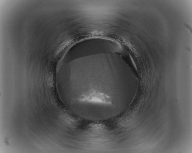 X0000096400689200801311351