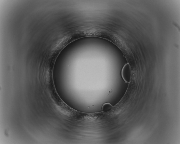 X0000096400690200801311351